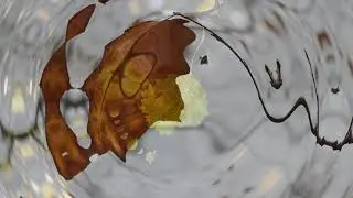 Otoño