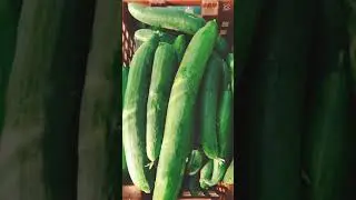 Bio Cultura . &agrave; Roanne 🌾🌾🌾🌴 l&eacute;gumes bio