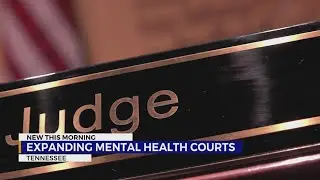 Expanding mental health courts in Tennessee