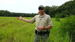 2023 Gooch WMA Crop Report 1
