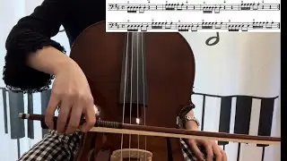 Cello Open String- Changing Strings-D String and A String