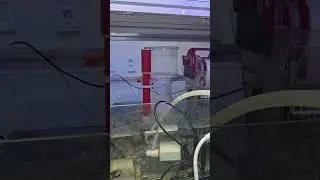(Royal Exclusiv) Bubble King, Double Cone 180 with DCS 600 (Deltec DCS 600 needle wheel pump)