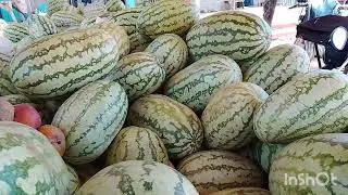 African village life// fruits and vegetables// feeding my special boy #africancommunity
