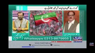 Muhammad Naeem Butt, Chairman PFMA-KPK, Exclusive Interview on Mashriq TV (28-Oct-2025) on Wheat Ban