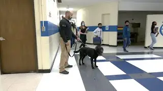 Hampton City Schools - Weapon detection canines through American K-9 Interdiction, LLC