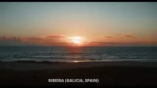 &iexcl;ESTO ES FRINSA!