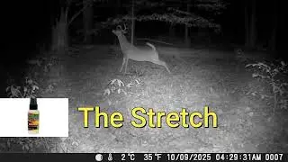 Let the deer tell you how they like Jinx'em Limb Licker. #wildlife #hunting