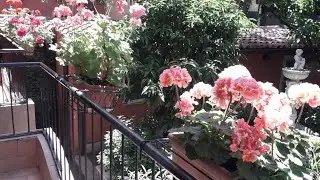 Gioia Bed and Breakfast | Rome, Italy | Hotel Review🏨