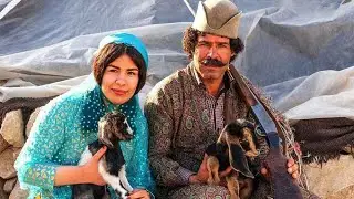 Persian Nomads Living in Fars and Chaharmahal-Bakhtiari