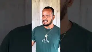 Telenovela 