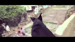 PERSONA - Brasil 2016