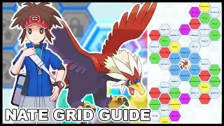 Best Nate & Braviary Sync Grid Builds Guide! | Pokemon Masters EX