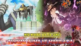 GAK NYANGKA!! TERNYATA INI TUJUAN KUMA DATANG KE MARIEJOA!! ADA HUBUNGAN DG ROBOT KUNO??! OP 1092