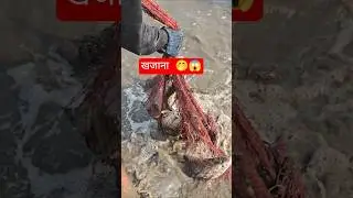 बेलपाडा म्हावऱ्याचा खजाना #shorts #viral  #shortsviral Barramundi | Big Fish Catching