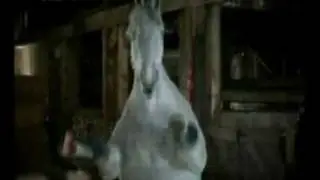 Kelloggs Nutri Grain - Horses