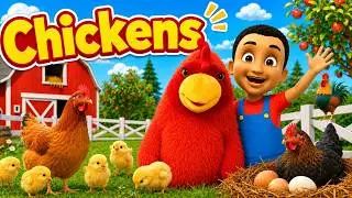 Fun Chicken Facts for Kids! 🐔 Learn About Hens, Roosters & Chicks