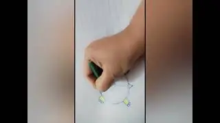 Draw a turtle 