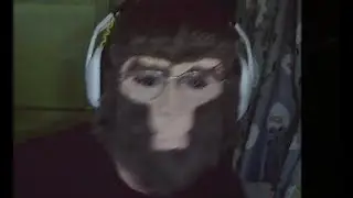 Monkey needs money / Black Myth: Wukong part 2