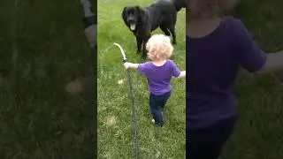 Dog takes water from a baby! #short