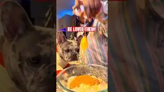 100 ДОМАШНИХ лакомств для собак за 3 доллара?