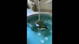 Aqua Creek Scout 2 ADA Pool Lift Demo