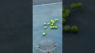 Tennis Ball Elegance: Easy Court Collection with Sophistication #smalleyes #fishing #smallball