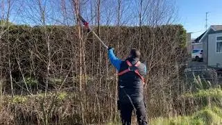 BU-KO 52CC Long Reach Petrol Hedge Trimmer and Pruner Saw