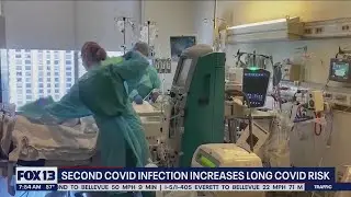 Second COVID infection increases long COVID | FOX 13 Seattle