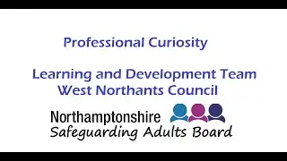 Professional Curiosity - Training Video