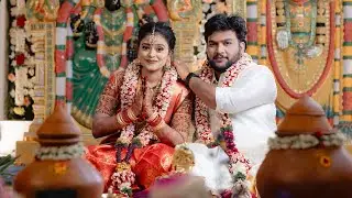 Vignesh ❤️ Sneha Wedding Story | Grand South Indian Wedding 2025 | Best Tamil Wedding Highlight