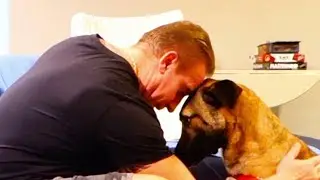 Short-term fosters needed for nonprofit that helps veterans