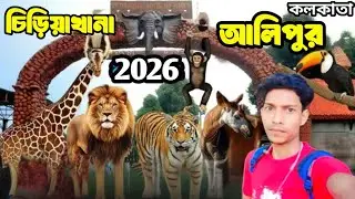 Alipore Zoo Kolkata | Kolkata Zoological Garden | Alipore Zoo | কলকাতা আলিপুর চিড়িয়াখানা 2026