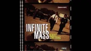Infinite Mass - Four Seasons Feat Polarbear & QDIII