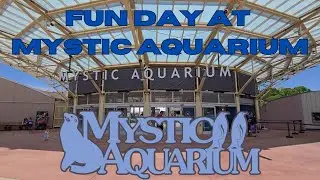 A Fun Day at Mystic Aquarium 4K Video Tour Connecticut Family Fun