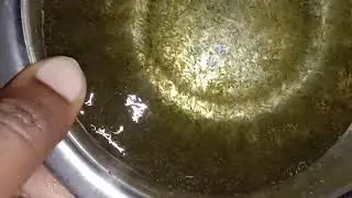 Best Quality Common Carp Spawn/breeding system/breeding techniques