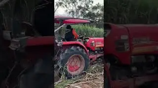 Tractor Scoop Sugarcane Epic Load Transfer Technique