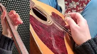 Irish Bouzouki learning material - The Bucks of Oranmore