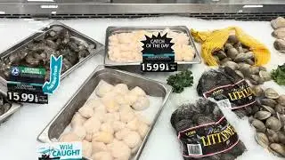 Vlog: Sabato il 17