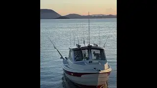 FISHING SAN DIEGO/YELLOEFIN TUNA/ C-DORY
