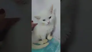 # jack  hmara rutha hua h #cute 😔😔😔
