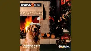 Acoustic Joy