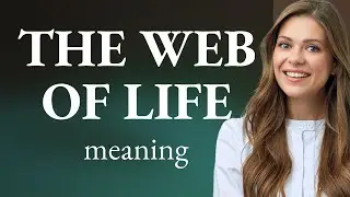 Understanding 