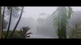 FULL FORCE: Tropical Cyclone Debbie 2017