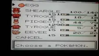 Pokemon silver egg hatching the easy way