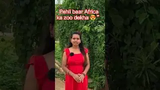 India vs Africa 🌍 || How different are African zoos from India's? 🇹🇿 #shorts