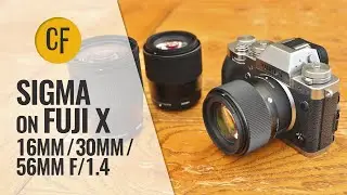 Объективы Sigma на Fuji X! 16 мм, 30 мм, 56 мм f1.4: быстрый обзор.