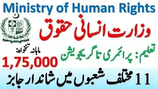 Ministry of Human Rights Jobs 2020 | New Govt Jobs 2020 | Jobs in Pakistan 2020 | Human Rights Jobs