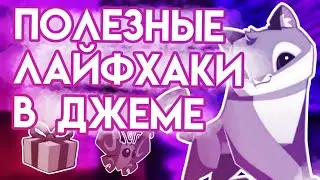 ЛАЙФХАКИ В ЭНИМАЛ ДЖЕМ | КАК ЗАРАБОТАТЬ МНОГО САПФИРОВ ЛЕГКО | ANIMAL JAM | Шилки Aj
