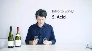 How to judge acidity in wine, and using it to come up with perfect food matches! | Intro to wine/5