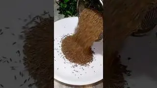 Jeera Saaf Karne Ka Easy Tarika| How to clean cumin seeds |#kichentips #viralshort #short #food #yt